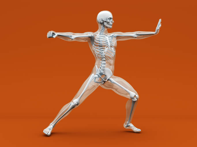 CBD helps strengthen your bones